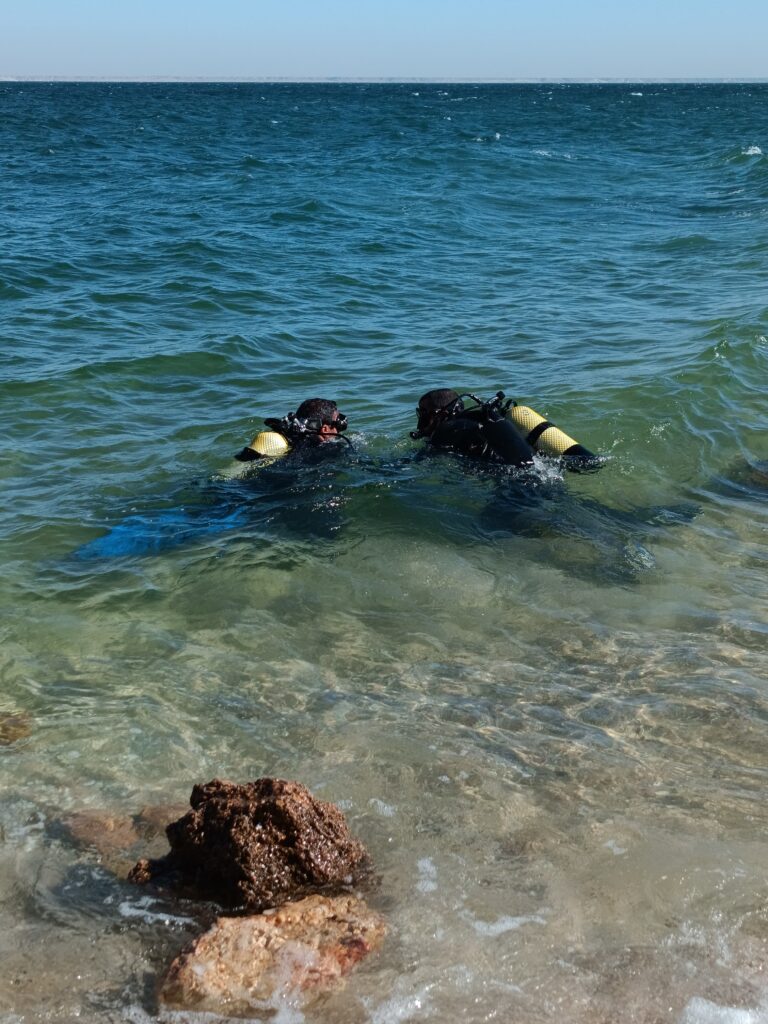 WhatsApp Image 2025-04-16 at 11.39.39