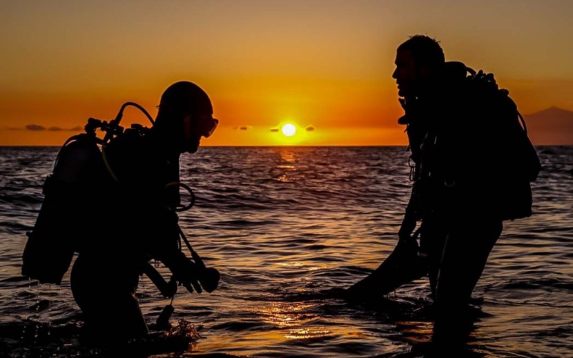 El Dive - Night dive