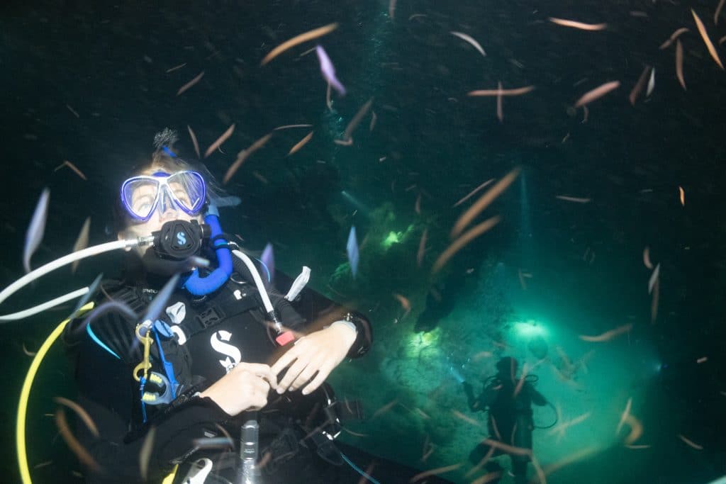 Little-bit-of-a-night-diving-ramble-1024x683