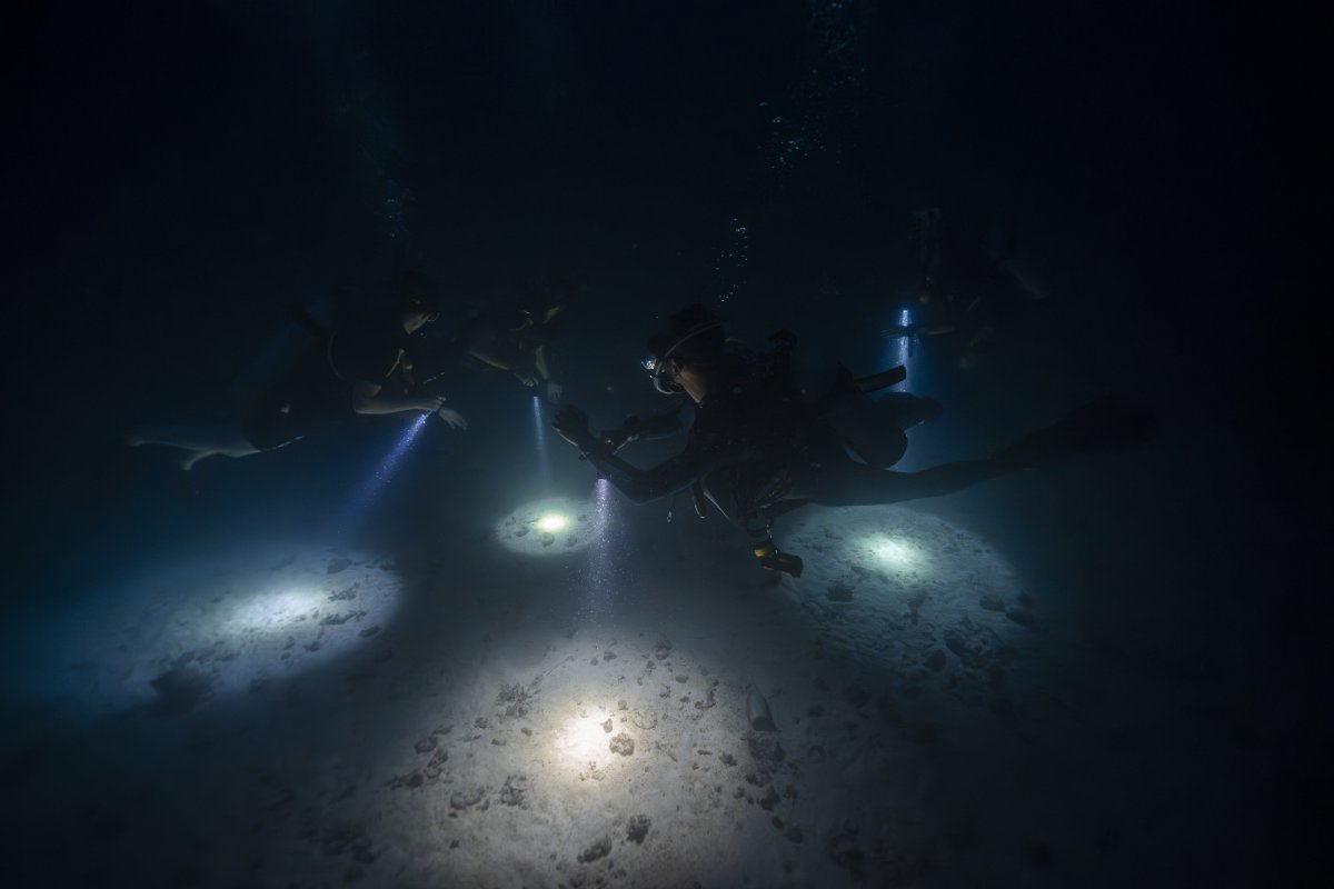 islatortugadivers.com-padi-night-diving-specialty-koh-tao