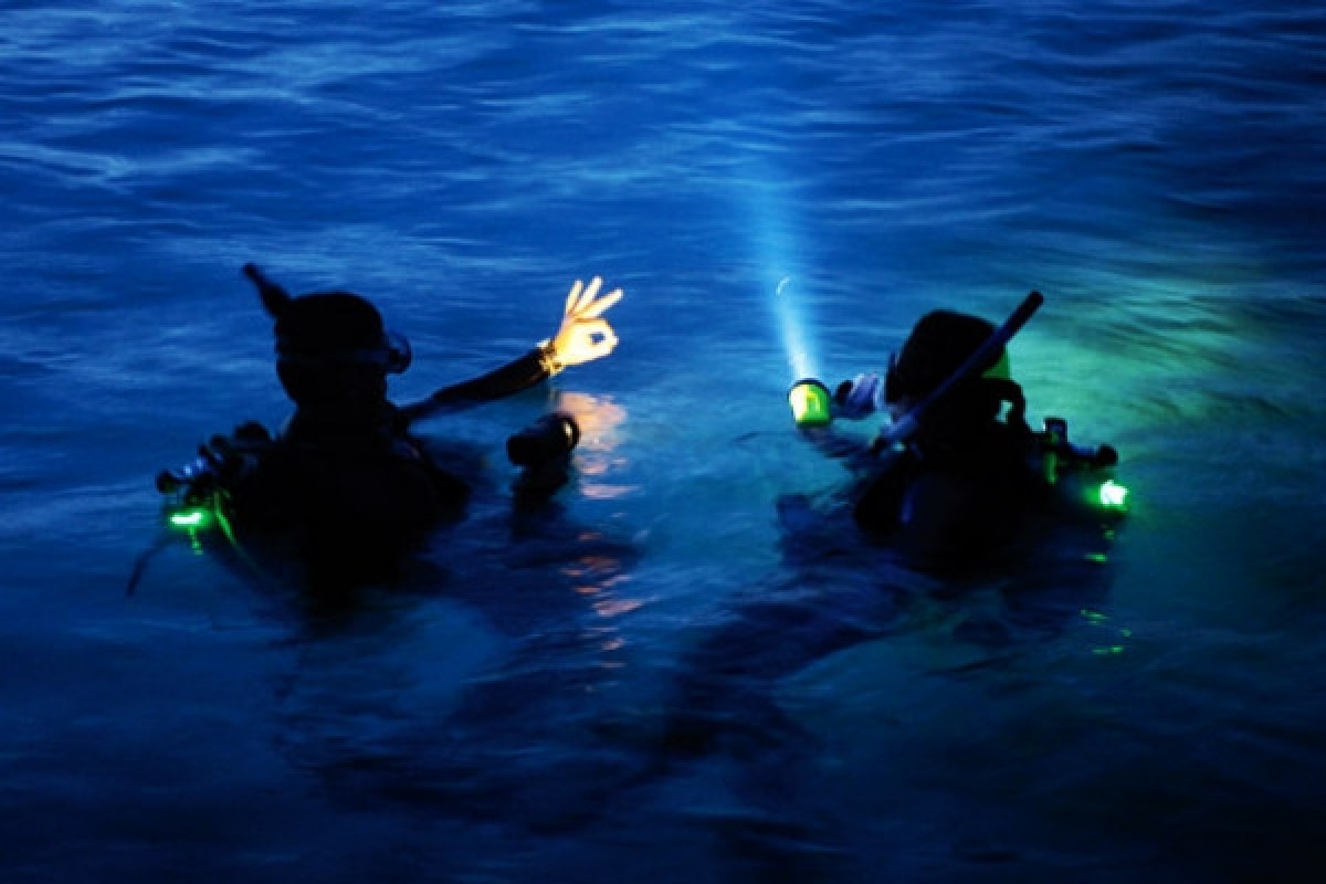 plongee-de-nuit-plongeur-certifie-expert-frejus_0_5bd456016cf41391278149